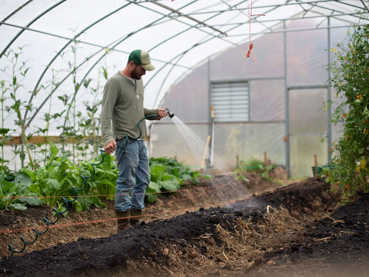 New subsidies for agriculture under landscaping projects
